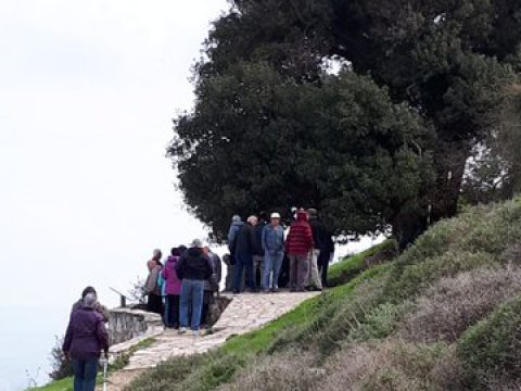 האלון בראש הר כביר