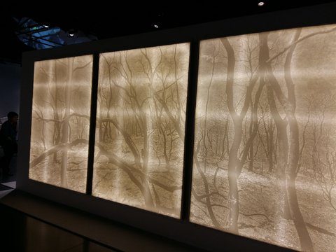 ניר – מצבי קיצון – מוזאון הארץ