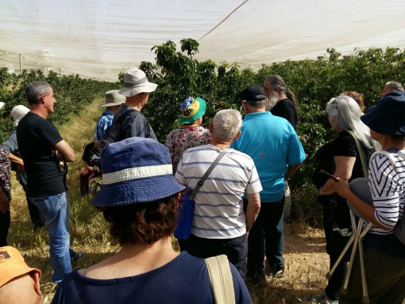 יומיים בירושלים, מאי 2017 מדריכה אורלי בן משה