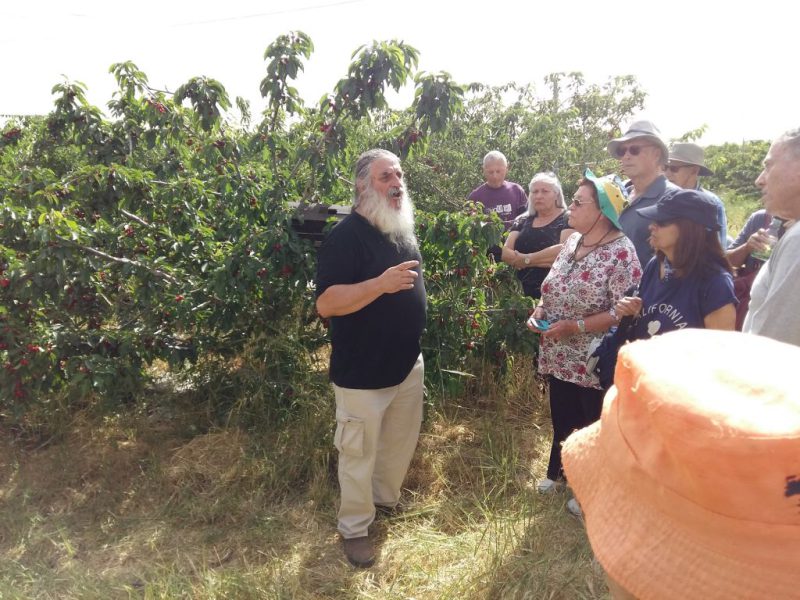 יומיים בירושלים, מאי 2017 מדריכה אורלי בן משה