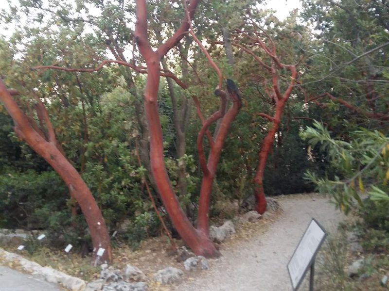 מצור בתוך מצור נפילת הרובע היהודי בתשח מדריך משה חרמץ