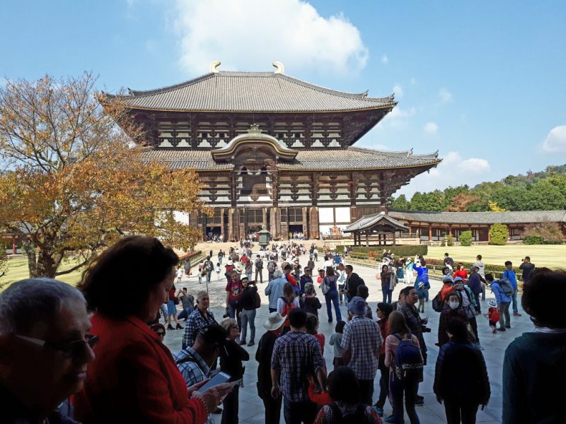 יפן בצבעי שלכת נובמבר 2017, מדריכה חדוה בידרמן (עם חברת דרכים)