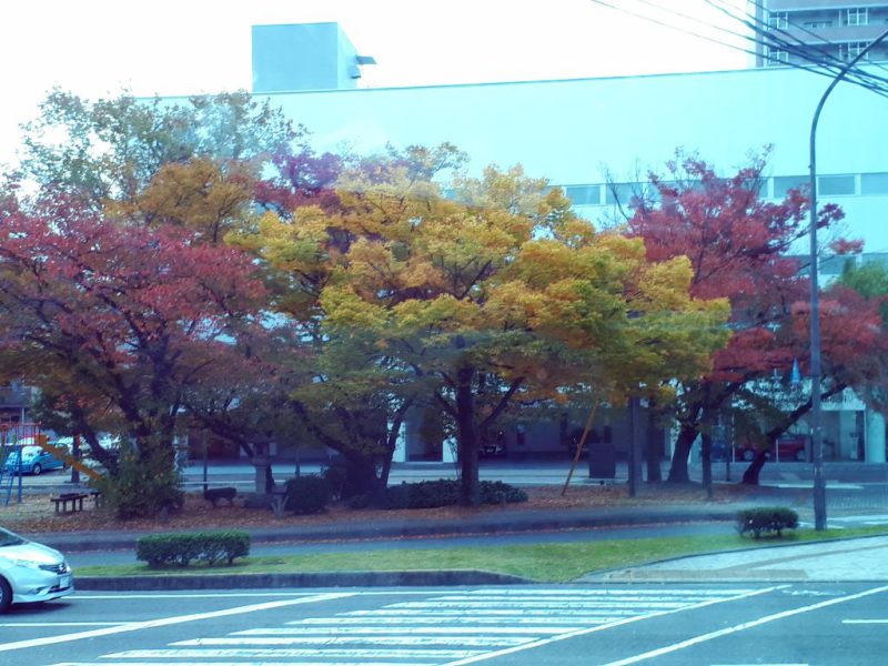 יפן בצבעי שלכת נובמבר 2017, מדריכה חדוה בידרמן (עם חברת דרכים)
