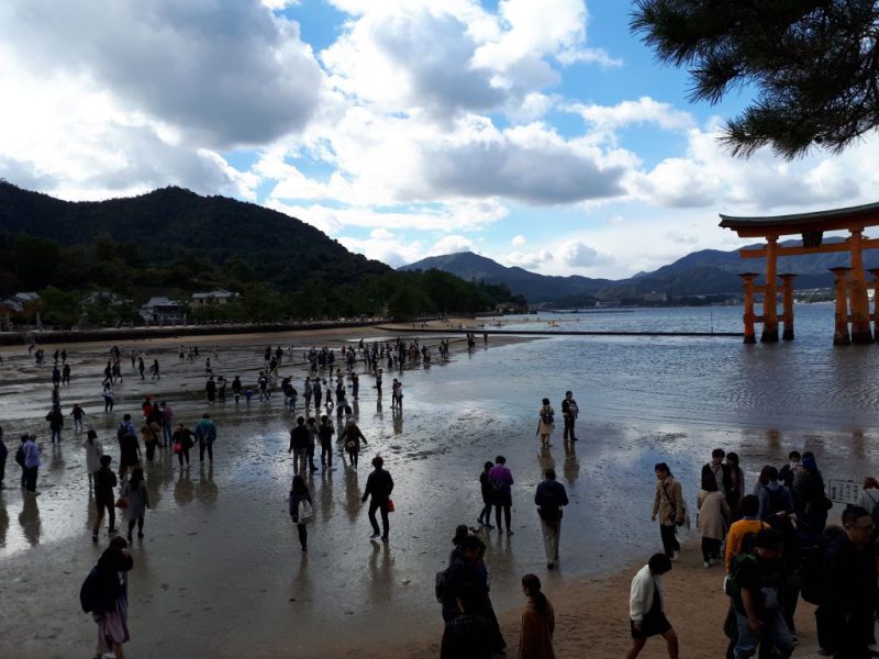 יפן בצבעי שלכת נובמבר 2017, מדריכה חדוה בידרמן (עם חברת דרכים)