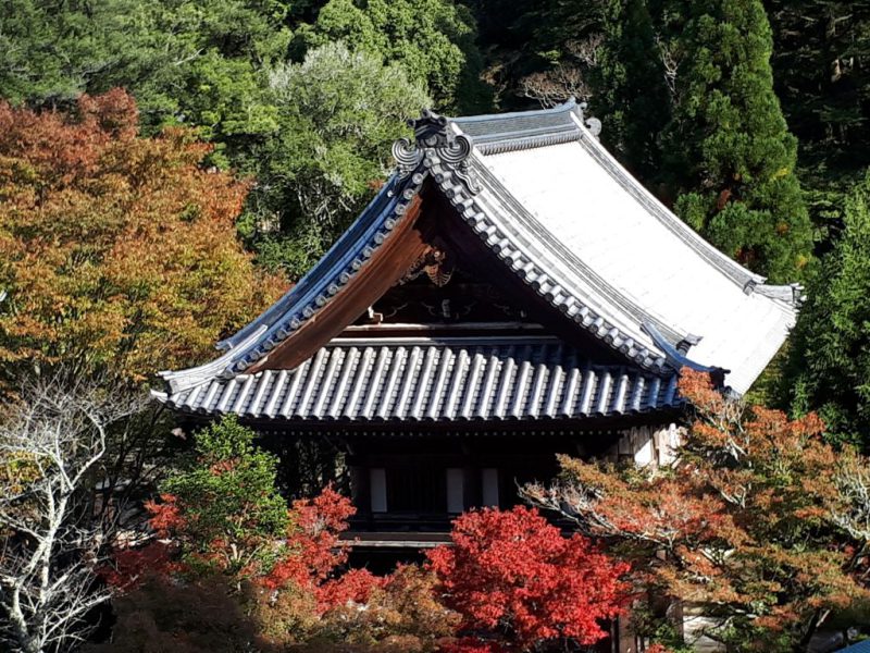 יפן בצבעי שלכת נובמבר 2017, מדריכה חדוה בידרמן (עם חברת דרכים)