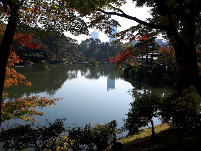 יפן בצבעי שלכת נובמבר 2017, מדריכה חדוה בידרמן (עם חברת דרכים)