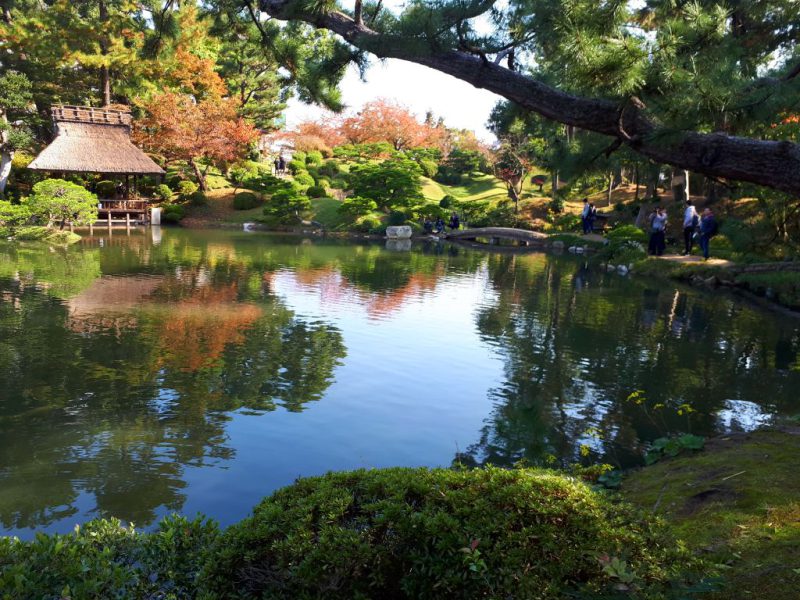 יפן בצבעי שלכת נובמבר 2017, מדריכה חדוה בידרמן (עם חברת דרכים)