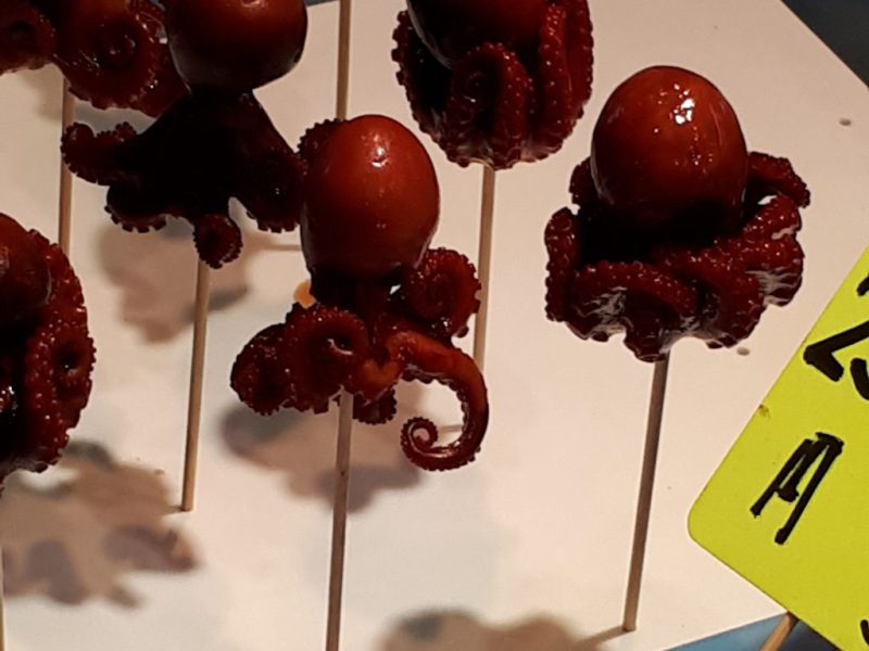 יפן בצבעי שלכת נובמבר 2017, מדריכה חדוה בידרמן (עם חברת דרכים)