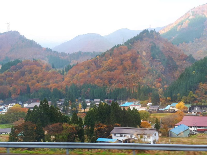 יפן בצבעי שלכת נובמבר 2017, מדריכה חדוה בידרמן (עם חברת דרכים)