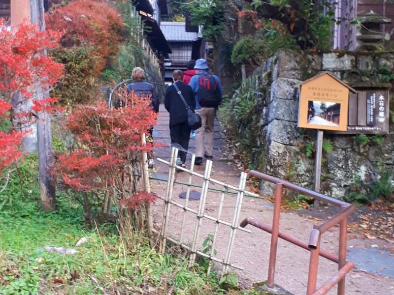 יפן בצבעי שלכת נובמבר 2017, מדריכה חדוה בידרמן (עם חברת דרכים)