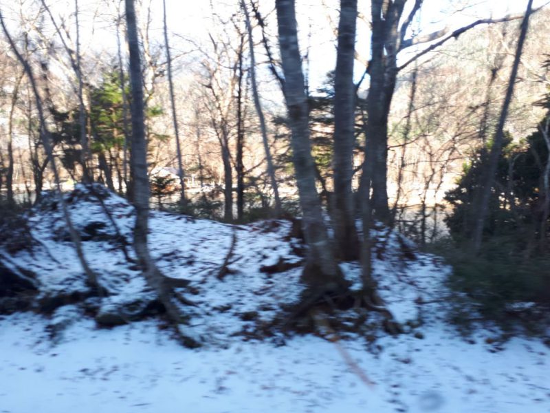 יפן בצבעי שלכת נובמבר 2017, מדריכה חדוה בידרמן (עם חברת דרכים)