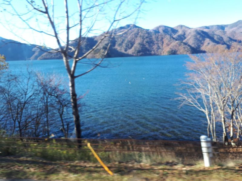 יפן בצבעי שלכת נובמבר 2017, מדריכה חדוה בידרמן (עם חברת דרכים)