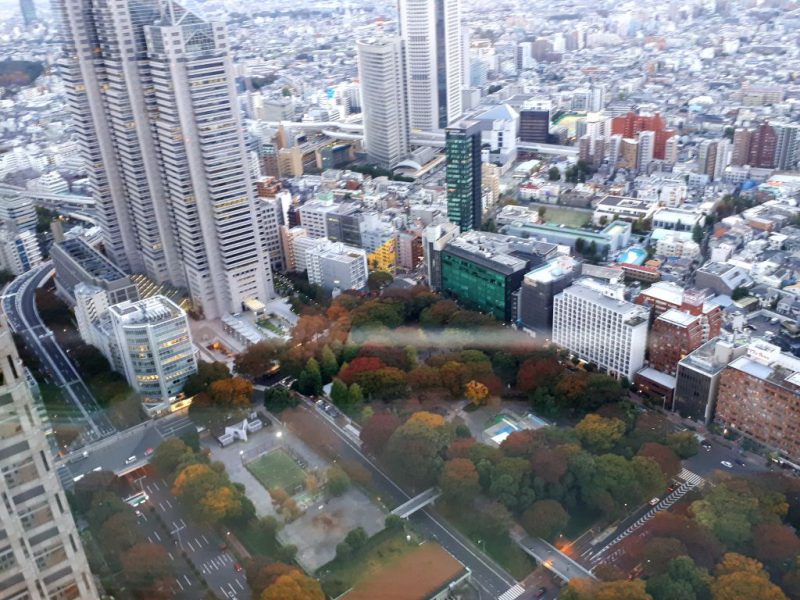 יפן בצבעי שלכת נובמבר 2017, מדריכה חדוה בידרמן (עם חברת דרכים)