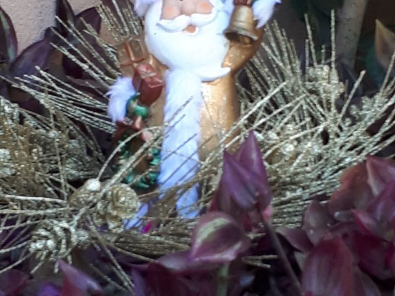 מנהגי הכריסמס יחודיים לגליל , דצמבר 2017 בהדרכת עדי זרחי