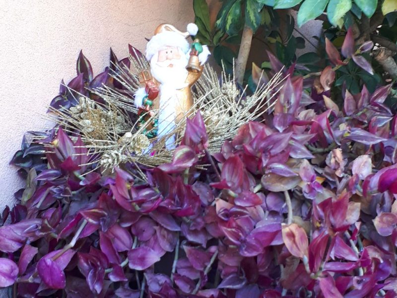 מנהגי הכריסמס יחודיים לגליל , דצמבר 2017 בהדרכת עדי זרחי