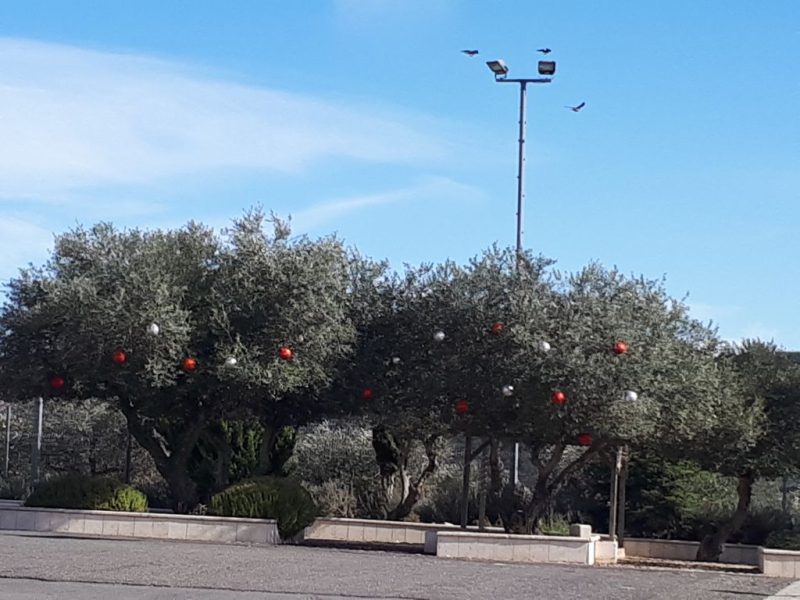 מנהגי הכריסמס יחודיים לגליל , דצמבר 2017 בהדרכת עדי זרחי
