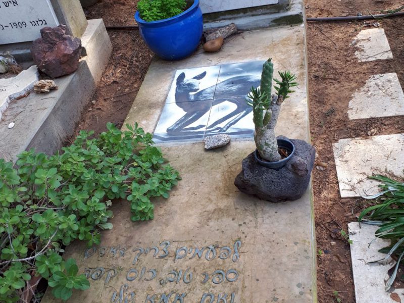 בעקבות דוד זהבי עם עופר רגב ודפנה זהבי