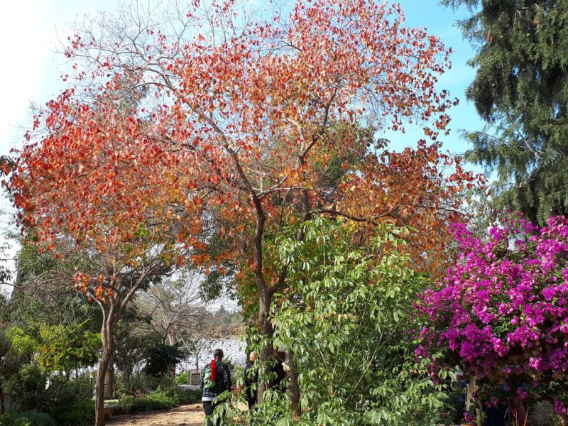 בעקבות דוד זהבי עם עופר רגב ודפנה זהבי