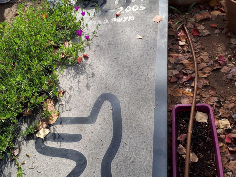 בעקבות דוד זהבי עם עופר רגב ודפנה זהבי