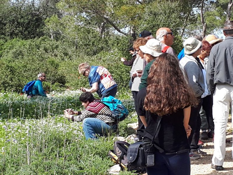צהרים של פריחות – יום ה', 01.03.18