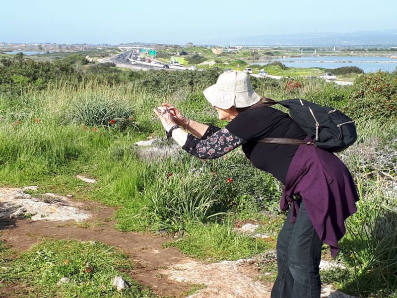 צהרים של פריחות – יום ה', 01.03.18