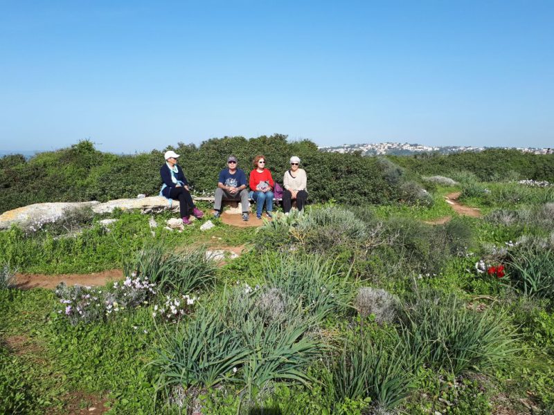 צהרים של פריחות – יום ה', 01.03.18