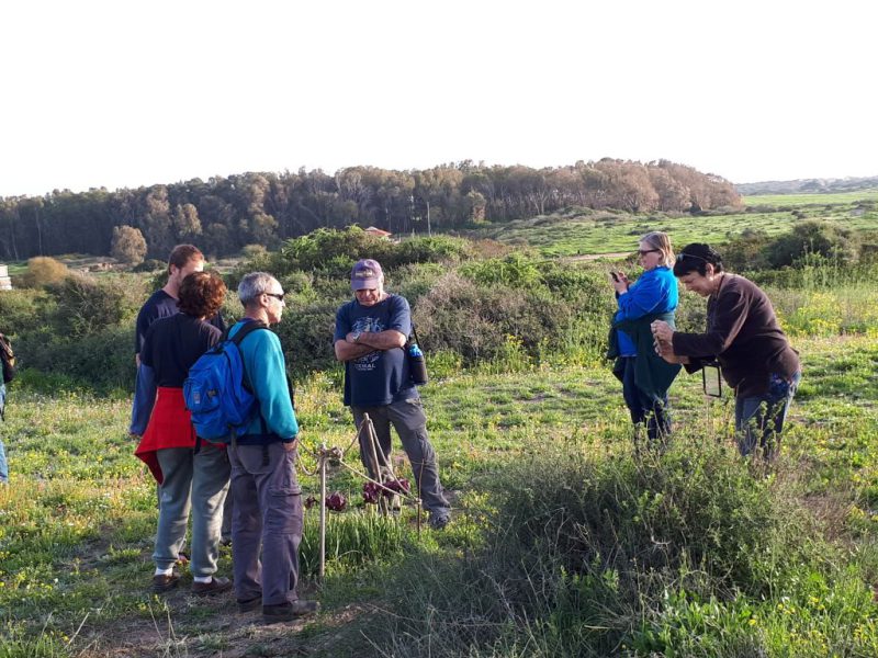 צהרים של פריחות – יום ה', 01.03.18