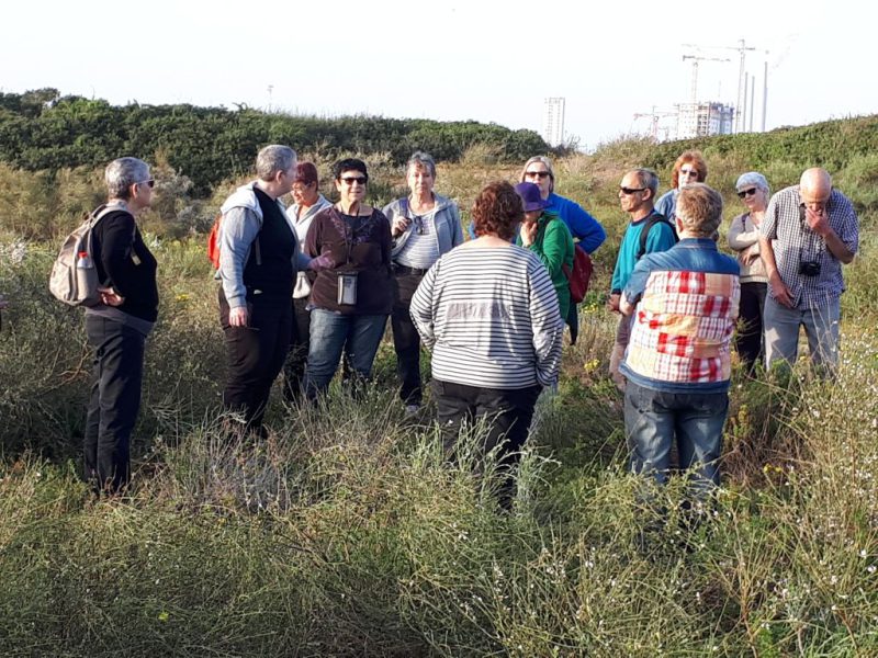 צהרים של פריחות – יום ה', 01.03.18