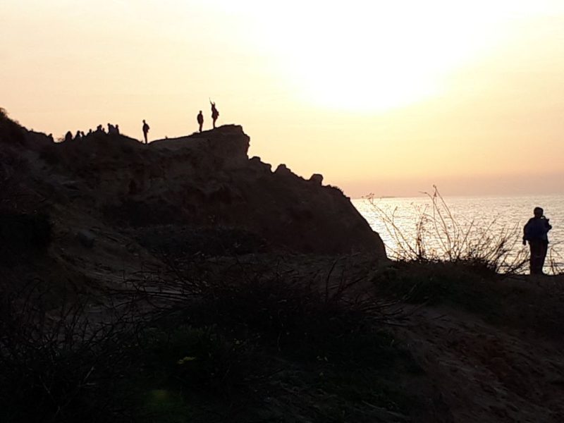 צהרים של פריחות – יום ה', 01.03.18