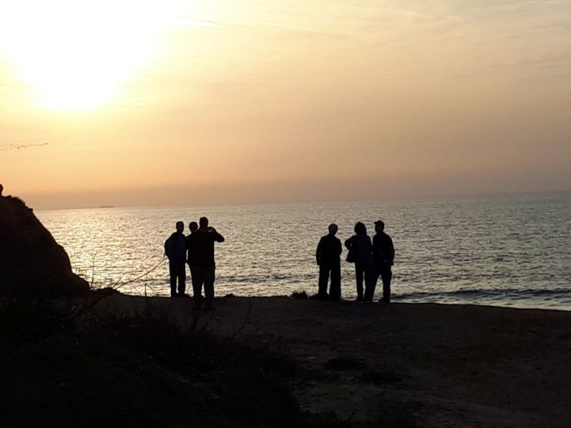 צהרים של פריחות – יום ה', 01.03.18