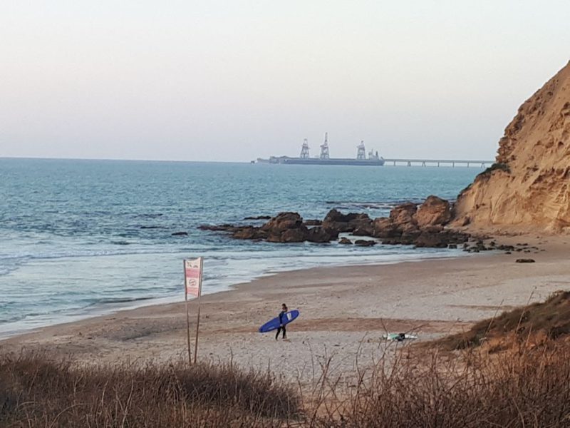 צהרים של פריחות – יום ה', 01.03.18